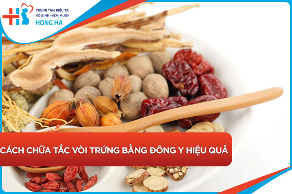 Cách chữa tắc vòi trứng bằng Đông Y an toàn nhất hiện nay