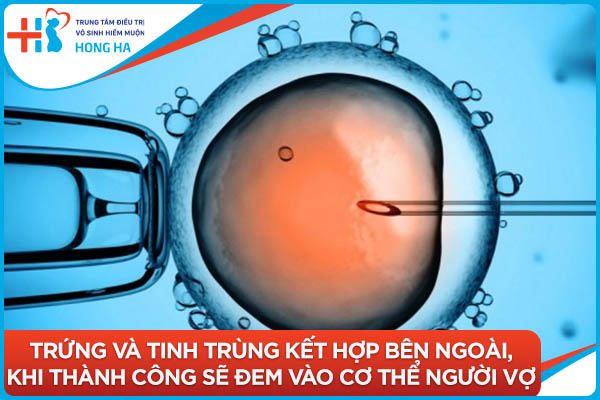Thụ tinh nhân tạo ống nghiệm tại Việt Nam: Tiết kiệm chi phí hiệu quả