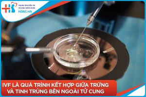 Chia sẻ kinh nghiệm IVF lần đầu thành công: 90% phụ nữ đạt thai và sinh con