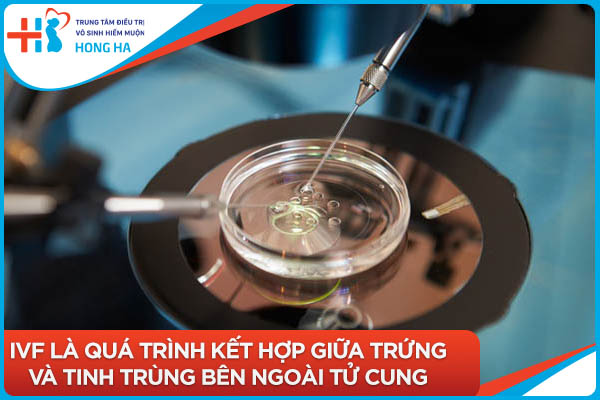 Chia sẻ kinh nghiệm IVF lần đầu thành công: 90% phụ nữ đạt thai và sinh con