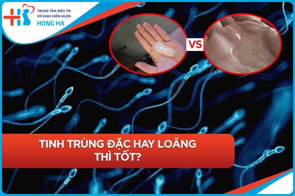 Tỉ lệ tinh trùng đặc và loãng tối ưu cho sinh sản là bao nhiêu