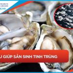 14 loại thực phẩm tăng khả năng có con 60% cho tinh trùng yếu