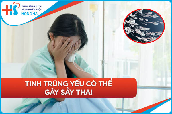 Tinh trùng yếu và ảnh hưởng đến khả năng thụ thai của nam giới