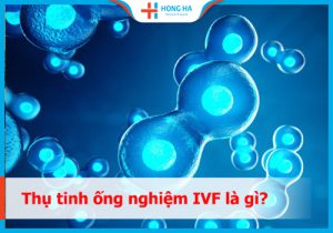 Thụ tinh ống nghiệm là gì? Quy trình? Tỷ Lệ Thành Công Cao