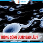 Các yếu tố ảnh hưởng đến khả năng sống sót của tinh trùng