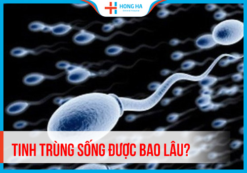 Các yếu tố ảnh hưởng đến khả năng sống sót của tinh trùng