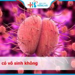 Bị lậu có vô sinh không? Những biến chứng của lậu đối với sức khỏe sinh sản