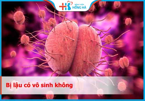 Bị lậu có vô sinh không? Những biến chứng của lậu đối với sức khỏe sinh sản