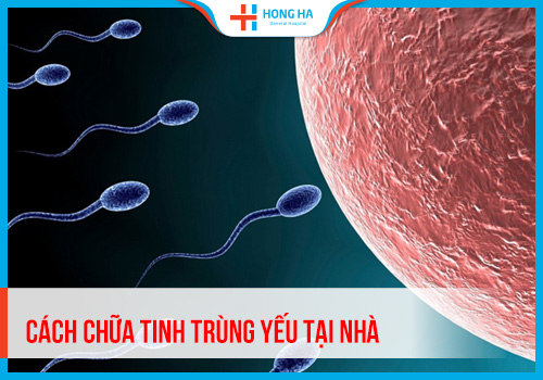 Tăng khả năng sinh sản nam giới tại nhà: 15 cách đơn giản đạt hiệu quả tới 80%