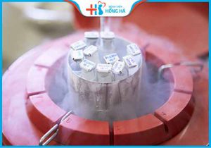 ICSI – Phương pháp tiêm tinh trùng vào bào tương trứng là gì?