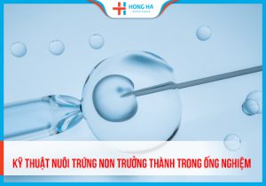 IVM- Kỹ thuật nuôi trứng non trưởng thành trong ống nghiệm