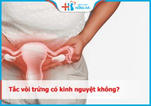 Tác động của tắc vòi trứng đến sức khỏe sinh sản nữ khi kinh nguyệt đến