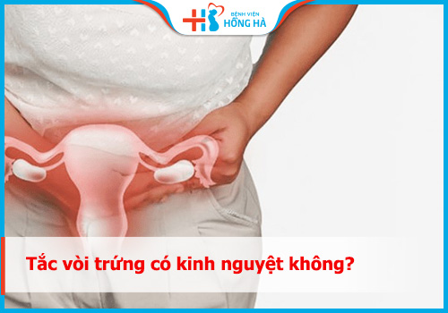 Tác động của tắc vòi trứng đến sức khỏe sinh sản nữ khi kinh nguyệt đến