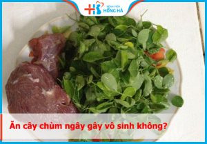 Tin đồn ăn cây chùm ngây gây vô sinh liệu có CHÍNH XÁC không?
