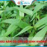 10 vạn câu hỏi vì sao: Ăn rau răm có bị vô sinh không?