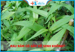 10 vạn câu hỏi vì sao: Ăn rau răm có bị vô sinh không?