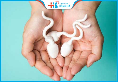 rượu bia gây vô sinh tinh trùng yếu