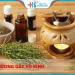 Xạ hương và ảnh hưởng của nó đến sinh sản của con người