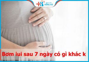 Bơm iui sau 7 ngày có gì khác không? Dấu hiệu có thai sau iui 7 ngày