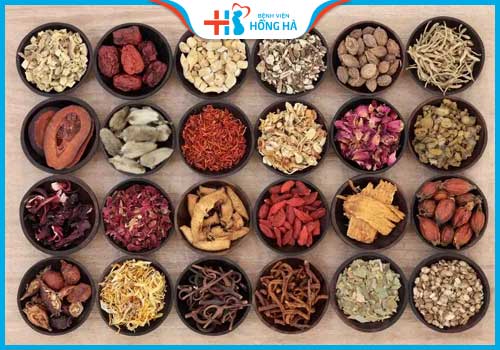 các cây thuốc chữa vo sinh hiếm muộn