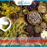 Điểm danh các loài cây thuốc chữa vô sinh hiếm muộn cho cả NAM và NỮ