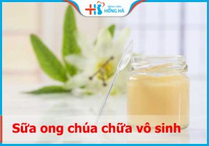 Giải đáp sữa ong chúa chữa vô sinh được hay không? 4 mẹo sử dụng cực hiệu quả