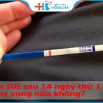 Làm IUI sau 14 ngày thử 1 vạch : Những yếu tố ảnh hưởng khả năng thành công