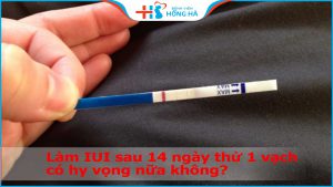 Làm IUI sau 14 ngày thử 1 vạch : Những yếu tố ảnh hưởng khả năng thành công