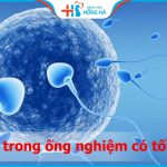 Thụ tinh trong ống nghiệm có tốt không? Hiệu quả như chi phí bỏ ra