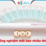 Thời gian thực hiện thụ tinh ống nghiệm: Tất cả những gì bạn cần biết