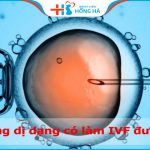 Tinh trùng dị dạng có làm IVF được không và một số lưu ý quan trọng