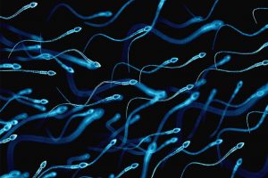 Các triệu chứng vô sinh nam các đấng mày râu cần nắm rõ