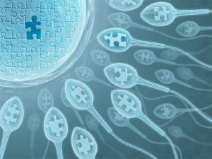 IVF và IUI là gì? điểm khác nhau như nào? quy trình thực hiện