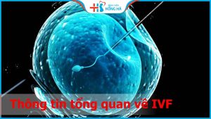 IVF là gì? 5 bước cơ bản trong quy trình IVF hiện nay