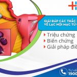 Lạc nội mạc tử cung: Nguyên nhân, triệu chứng và điều trị hiệu quả