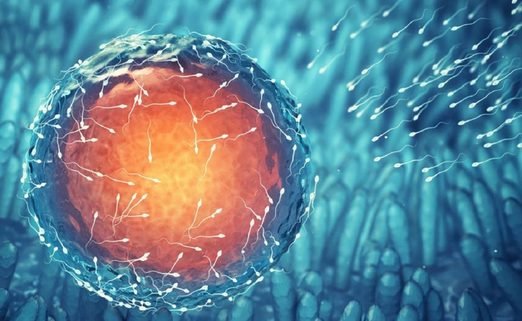 Những điều cần biết về thụ tinh nhân tạo