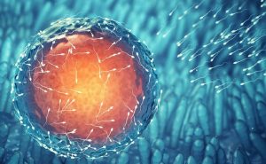 Những điều cần biết về thụ tinh nhân tạo