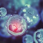 Quá trình thụ tinh nhân tạo tại Bệnh viện Đa khoa Hồng Hà