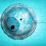 Thụ tinh ống nghiệm và những điều bạn cần biết