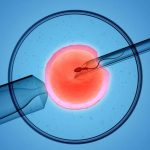 Thụ tinh trong ống nghiệm có tốt không? Tại sao IVF trở nên an toàn nhất