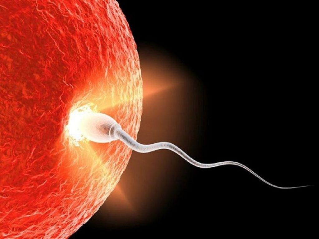 Tinh trùng yếu có thụ tinh nhân tạo được không, lưu ý điều gì?