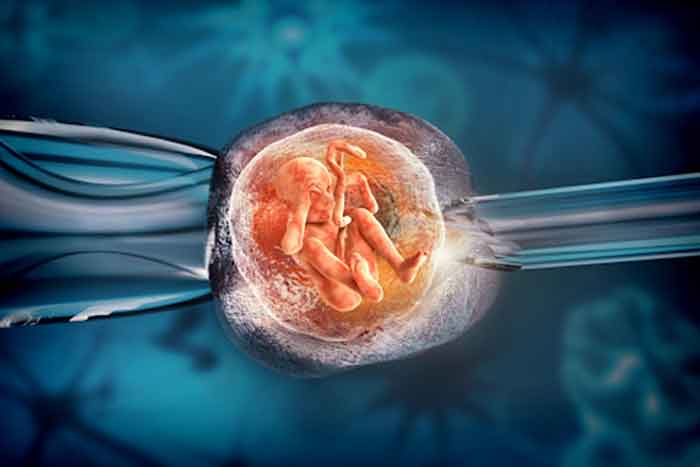 Những kiến thức cơ bản về kỹ thuật thụ tinh ống nghiệm IVF