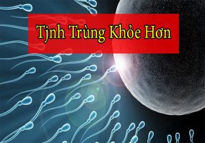 Sự khác biệt giữa thai IVF và thai tự nhiên: 4 Yếu tố cần lưu ý