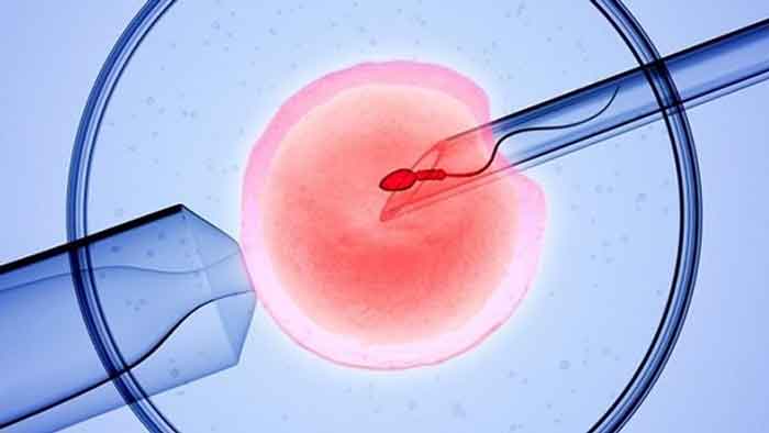 Những vấn đề đang bị hiểu sai lầm khi cho trứng làm IVF hiện nay
