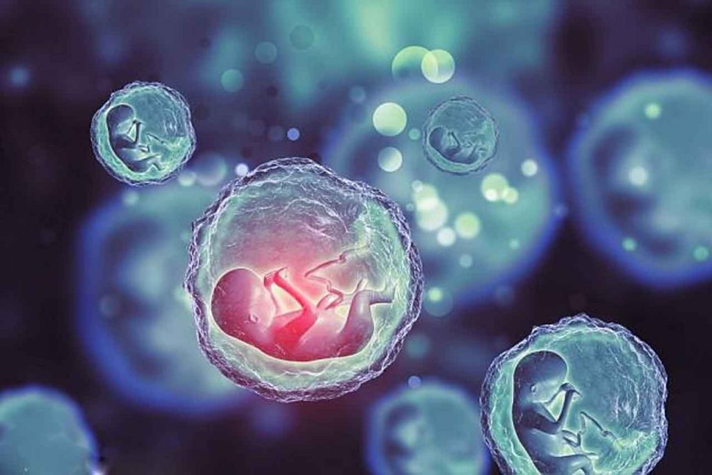 3 bước cơ bản có trong quá trình thụ tinh nhân tạo