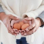 Xin trứng để thụ tinh nhân tạo- Cơ hội có con của những gia đình