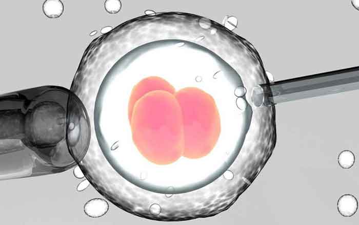 Xin trứng để làm thụ tinh ống nghiệm như thế nào