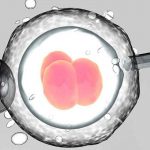 Xin trứng làm IVF ở đâu? Tiêu chí đối với người cho trứng