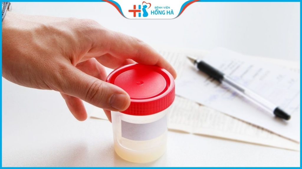 Lấy tinh trùng để thụ tinh nhân tạo: Cách thực hiện thành công với tỷ lệ 90%