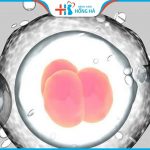 Những nguyên nhân IVF thất bại khiến nhiều phụ nữ thất vọng
